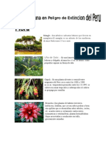 Flora y Fauna en El Peru