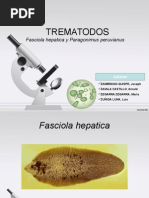 Tremátodos