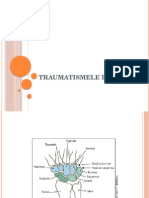 Practic 2. Traumatismele de Pumn