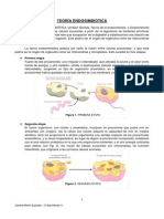 Teoría Endosimbiótica