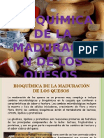 Bioquimica de La Maduracion Del Queso Diapositivas