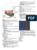 Neuropsychological Assesment