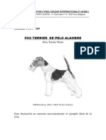 Fox Terrier de Pelo Duro