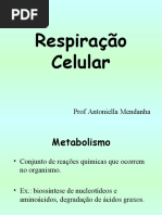 Respiração Aeróbia e Fermentação