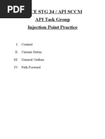 API TR 971 Injection Point Outline2