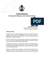 Libertad Sindical PDF