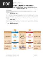 Guia de Laboratorio Nº2