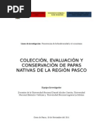 Proyecto Papas Nativas 1 Concurso