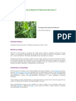 Atlas de Las Plantas de La Medicina Tradicional Mexicana