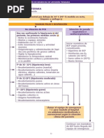 Algoritmos Urgencias - Alteraciones de La Termorregulacion