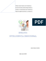 Ensayo Inteligencia