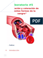 Coloracion de Elementos Formes de La Sangre