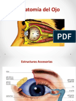 Anatomía Del Ojo