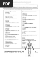 Prueba Sistema Oseo y Muscular