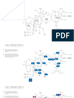 Yasko Methylation Pathway: Methionine Cycle Folate Cycle