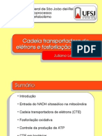 Aula 5 - CTE e Fosforilação Oxidativa