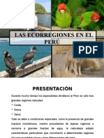 Las Ecorregiones Del Perú