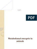 Metabolismul Energetic La Animale 