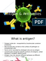 Antigen & Antibodies