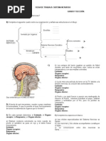 Ficha de Trabaj Nervioso