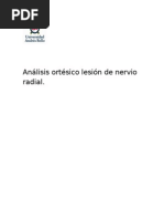 Análisis Ortésico Lesión de Nervio Radial