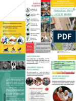 Tríptico Fragilidad PDF