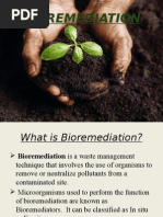 Bioremediation