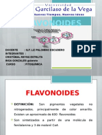 Expo Flavonoides 1