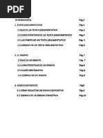 Texto Argumentativo - Ensayo Argumentivo