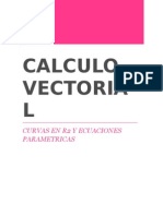 Solucionario Calculo Vectorial.