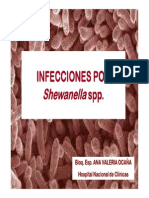 Infecciones Por Shewanella SPP OCAÑA