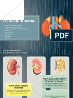 Fisiologia Renal