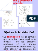 Hibridacion