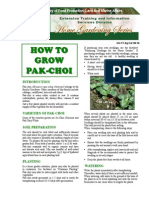 How To Grow Pakchoi