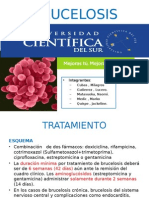 Brucelosis Tratamiento