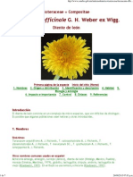 Taraxacum Officinale - Ficha Informativa