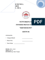 Informe Final DNS