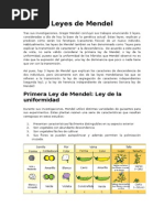 Leyes de Mendel