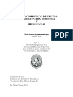 Deshidratacion + Microondas PDF