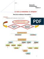 Presarea La Rece-Test Formativ 4