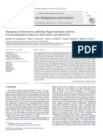 Molecular Phylogenetics and Evolution