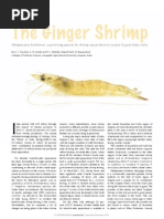 The Ginger Shrimp - Metapenaeus Kutchensis: A Promising Species For Shrimp Aquaculture in Coastal Gujarat State, India