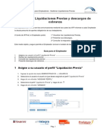 Guia de Usuario - Gestionar Liquidaciones Previas y Descargos en AFPnet