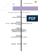 Informe 03. Caracteristicas Organolepticas.