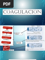 COAGULACION