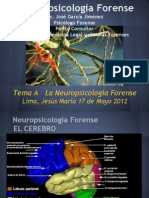 Diapositivas Neuropsicologia Forense Diapositivas