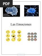 Monografia Emociones