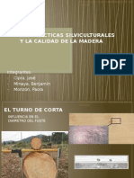 Las Prácticas Silviculturales y La Calidad de La Madera