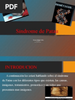 Sindrome de Patau Presentacion pwp-1