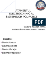 Tratamentul Electrochimic Al Sistemelor Polifazice